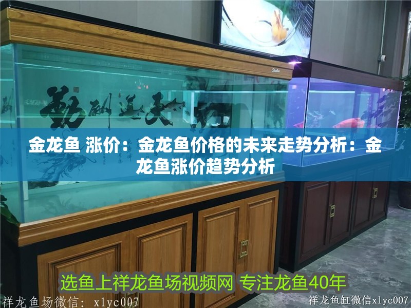 金龍魚 漲價：金龍魚價格的未來走勢分析：金龍魚漲價趨勢分析