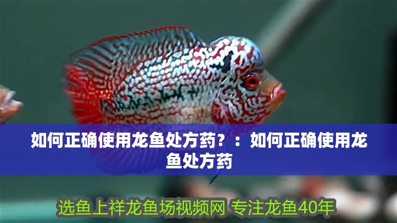如何正確使用龍魚處方藥？：如何正確使用龍魚處方藥