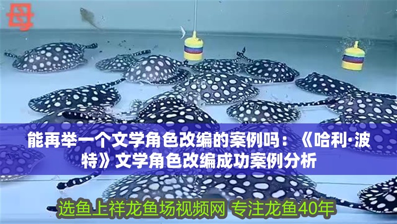 能再舉一個文學角色改編的案例嗎：《哈利·波特》文學角色改編成功案例分析