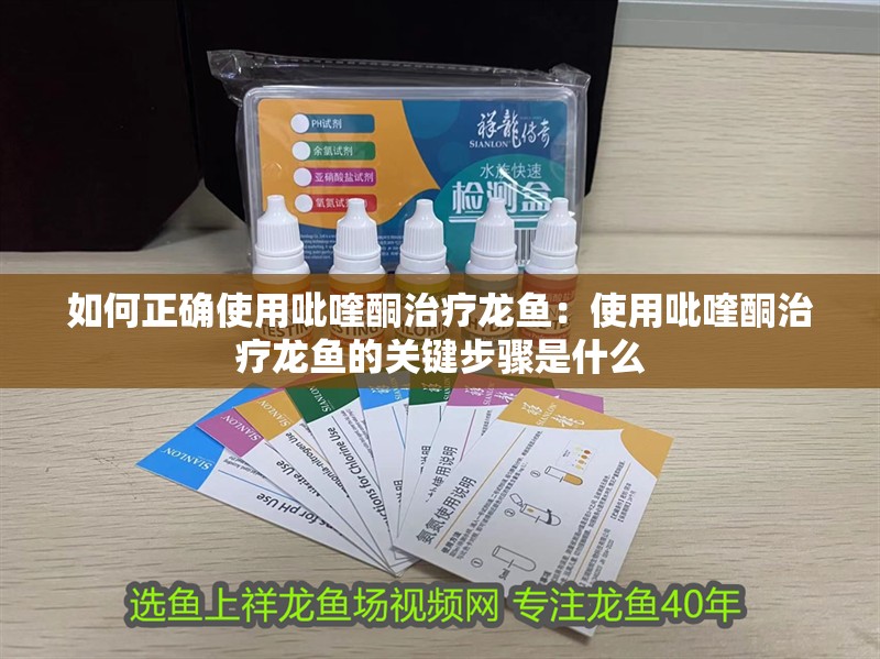 如何正確使用吡喹酮治療龍魚：使用吡喹酮治療龍魚的關鍵步驟是什么