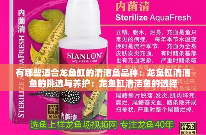 有哪些適合龍魚缸的清潔魚品種：龍魚缸清潔魚的挑選與養(yǎng)護：龍魚缸清潔魚的選擇