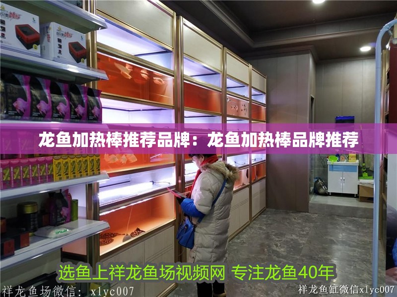龍魚加熱棒推薦品牌：龍魚加熱棒品牌推薦