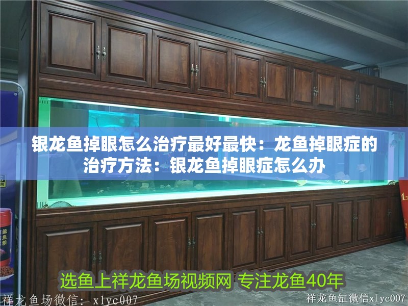 銀龍魚掉眼怎么治療最好最快：龍魚掉眼癥的治療方法：銀龍魚掉眼癥怎么辦