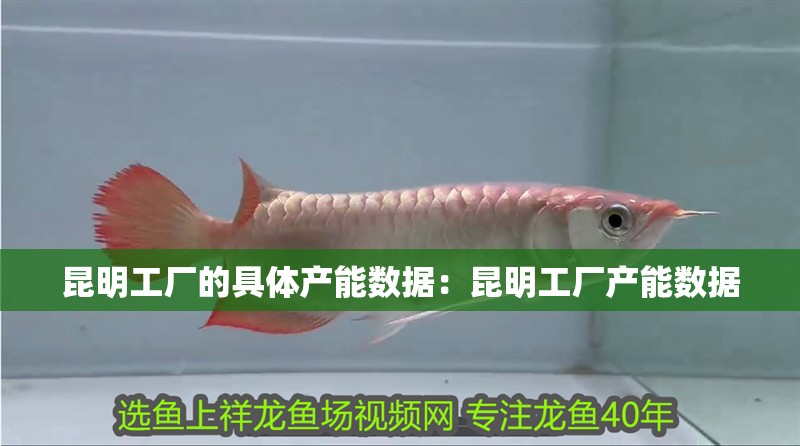 <strong><mark>昆明</mark></strong>工廠的具體產能數據：<strong><mark>昆明</mark></strong>工廠產能數據