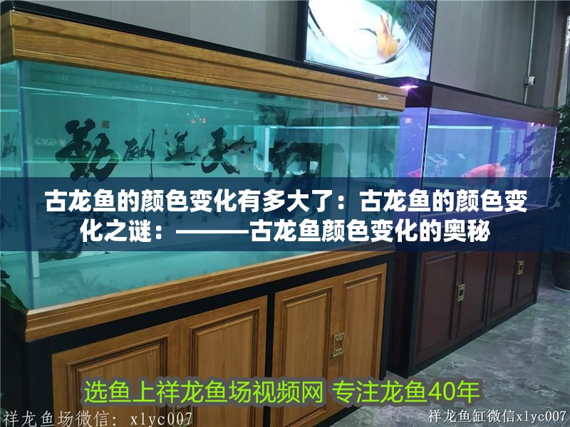 古龍魚的顏色變化有多大了：古龍魚的顏色變化之謎：———古龍魚顏色變化的奧秘