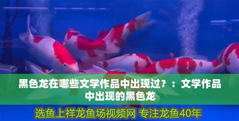 黑色龍在哪些文學作品中出現過？：文學作品中出現的黑色龍