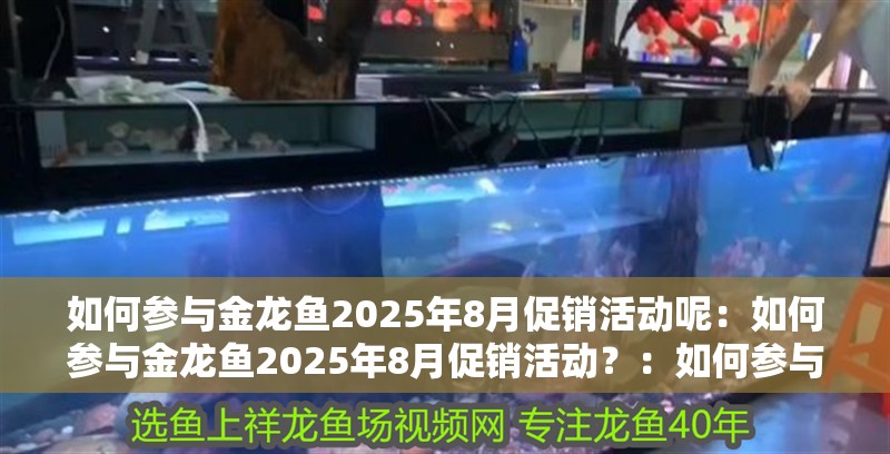 如何參與金龍魚2025年8月促銷活動呢：如何參與金龍魚2025年8月促銷活動？：如何參與金龍魚2025年8月促銷活動
