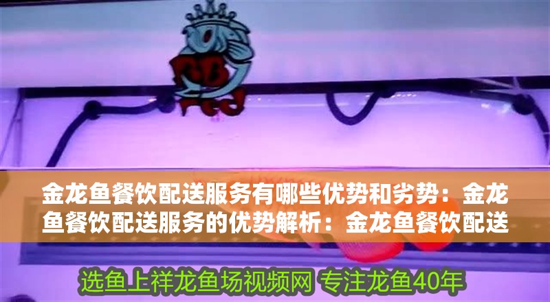 金龍魚餐飲配送服務有哪些優勢和劣勢：金龍魚餐飲配送服務的優勢解析：金龍魚餐飲配送服務