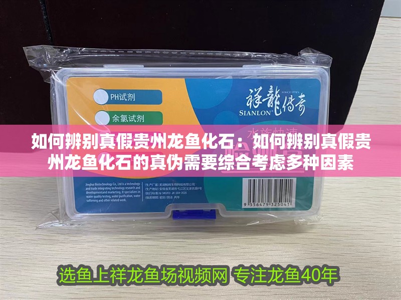 如何辨別真假貴州龍魚化石：如何辨別真假貴州龍魚化石的真偽需要綜合考慮多種因素
