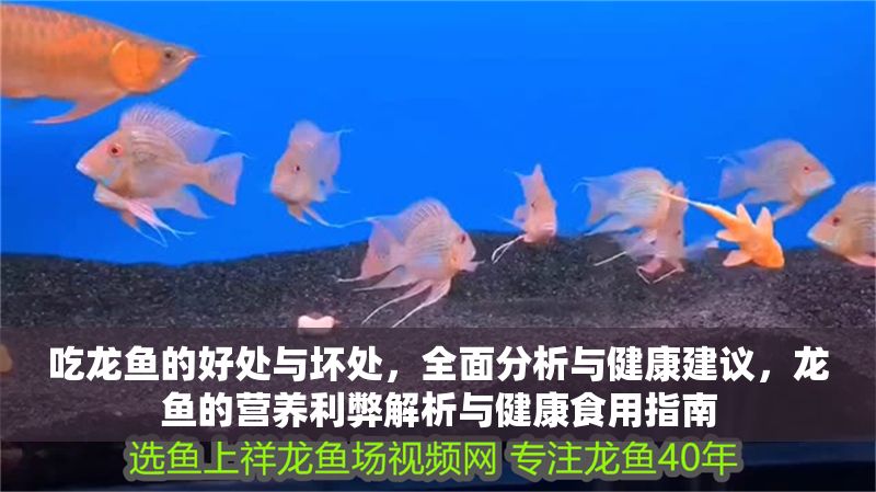吃龍魚的好處與壞處，全面分析與健康建議，龍魚的營養(yǎng)利弊解析與健康食用指南