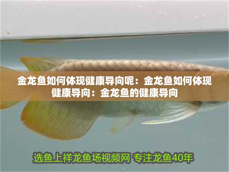 金龍魚如何體現(xiàn)健康導(dǎo)向呢：金龍魚如何體現(xiàn)健康導(dǎo)向：金龍魚的健康導(dǎo)向