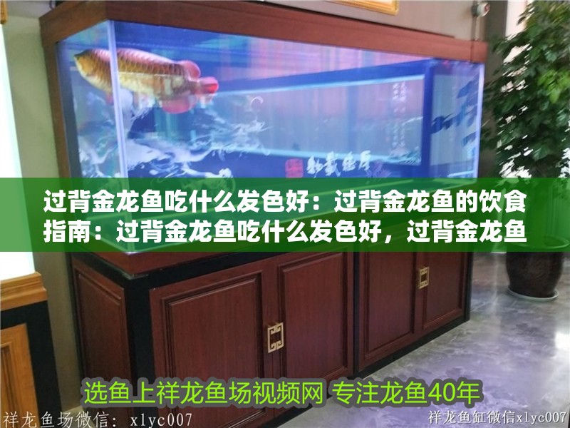 過背金龍魚吃什么發色好：過背金龍魚的飲食指南：過背金龍魚吃什么發色好，過背金龍魚的飲食指南是什么