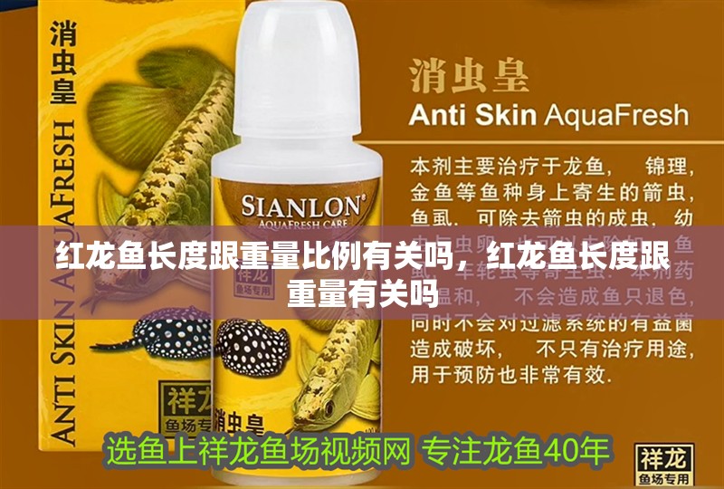 紅龍魚長度跟重量比例有關嗎，紅龍魚長度跟重量有關嗎