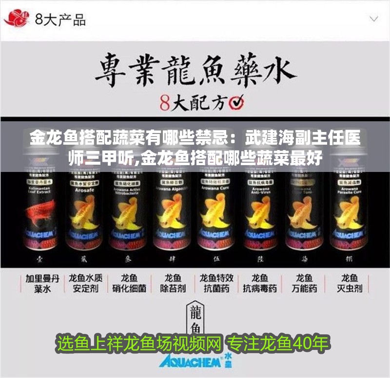 金龍魚搭配蔬菜有哪些禁忌：武建海副主任醫(yī)師三甲聽,金龍魚搭配哪些蔬菜最好