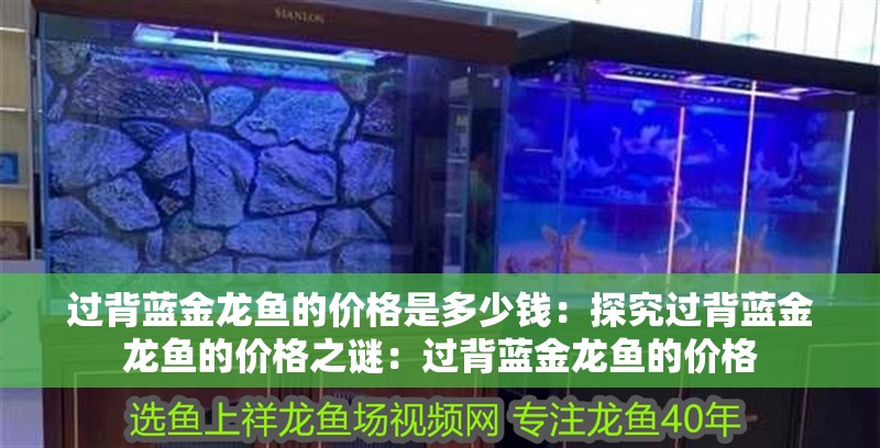 過背藍金龍魚的價格是多少錢：探究過背藍金龍魚的價格之謎：過背藍金龍魚的價格