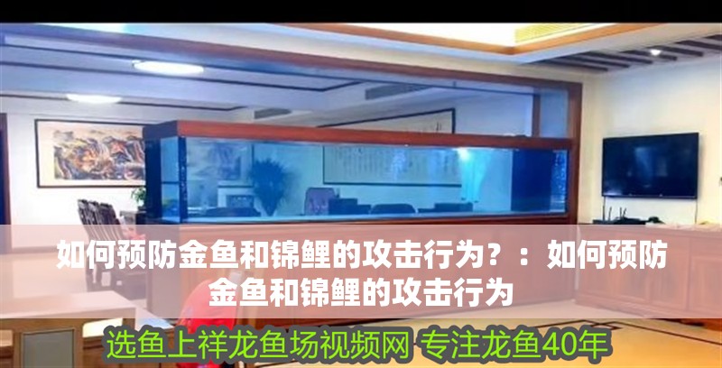 如何預(yù)防金魚(yú)和錦鯉的攻擊行為？：如何預(yù)防金魚(yú)和錦鯉的攻擊行為