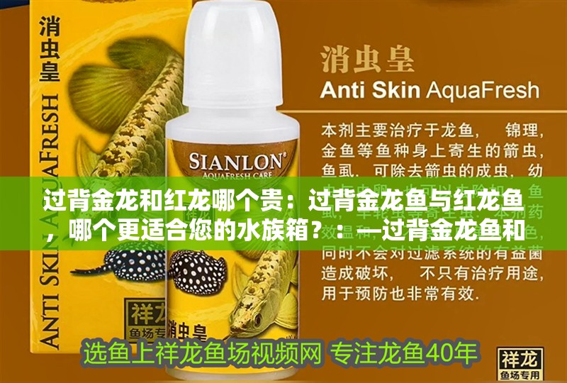 過背金龍和紅龍哪個貴：過背金龍魚與紅龍魚，哪個更適合您的水族箱？：—過背金龍魚和紅龍魚和紅龍魚的養護需求