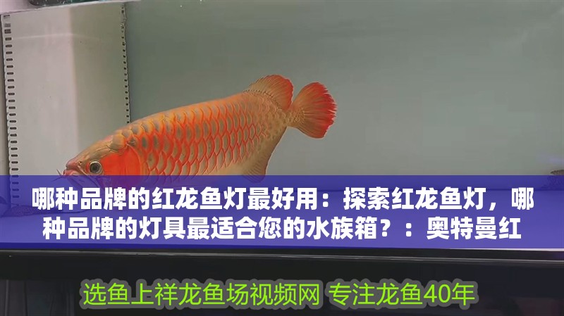 哪種品牌的紅龍魚燈最好用：探索紅龍魚燈，哪種品牌的燈具最適合您的水族箱？：奧特曼紅龍魚燈哪種品牌的紅龍魚燈最好，奧特曼紅龍魚燈