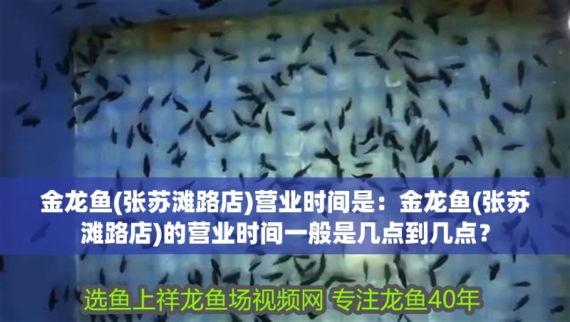 金龍魚(張?zhí)K灘路店)營業(yè)時間是：金龍魚(張?zhí)K灘路店)的營業(yè)時間一般是幾點到幾點？