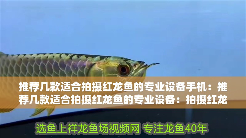 推薦幾款適合拍攝紅龍魚的專業設備手機：推薦幾款適合拍攝紅龍魚的專業設備：拍攝紅龍魚的專業設備推薦