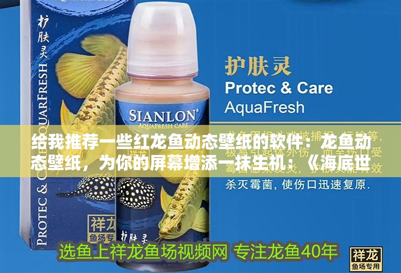 給我推薦一些紅龍魚動態壁紙的軟件：龍魚動態壁紙，為你的屏幕增添一抹生機：《海底世界》紅龍魚動態壁紙的特點和《海底世界》