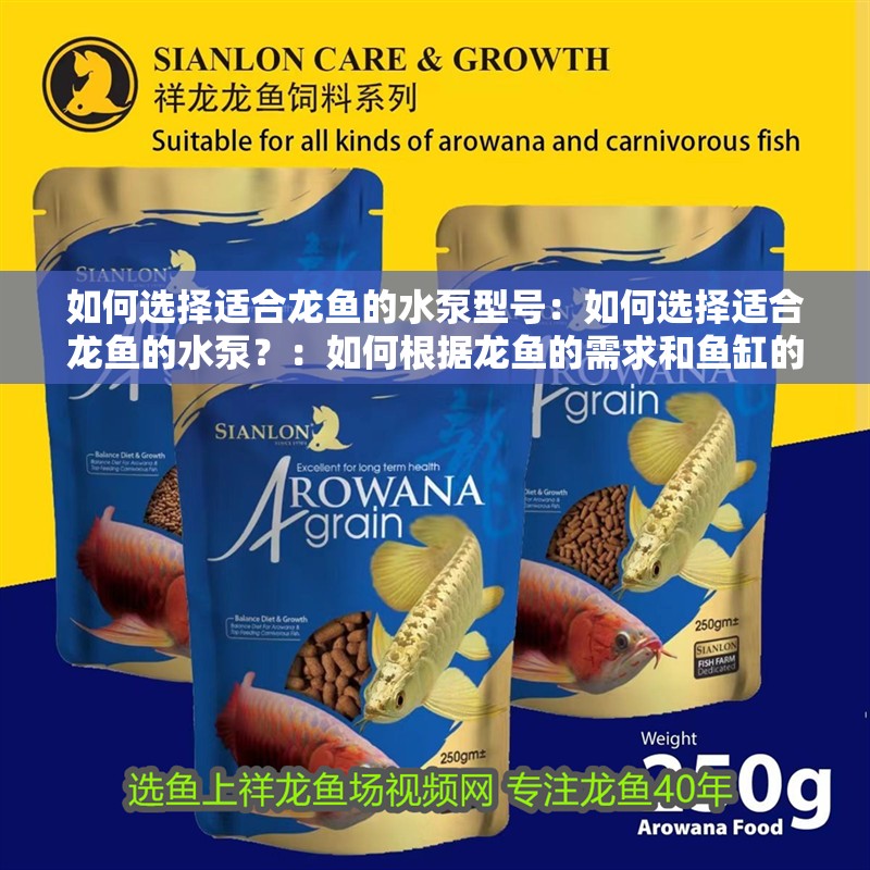 如何選擇適合龍魚的水泵型號：如何選擇適合龍魚的水泵？：如何根據龍魚的需求和魚缸的特點來選擇合適的水泵
