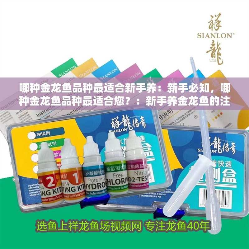 哪種金龍魚品種最適合新手養：新手必知，哪種金龍魚品種最適合您？：新手養金龍魚的注意事項