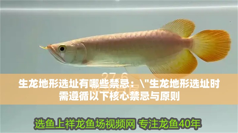 生龍地形選址有哪些禁忌：\