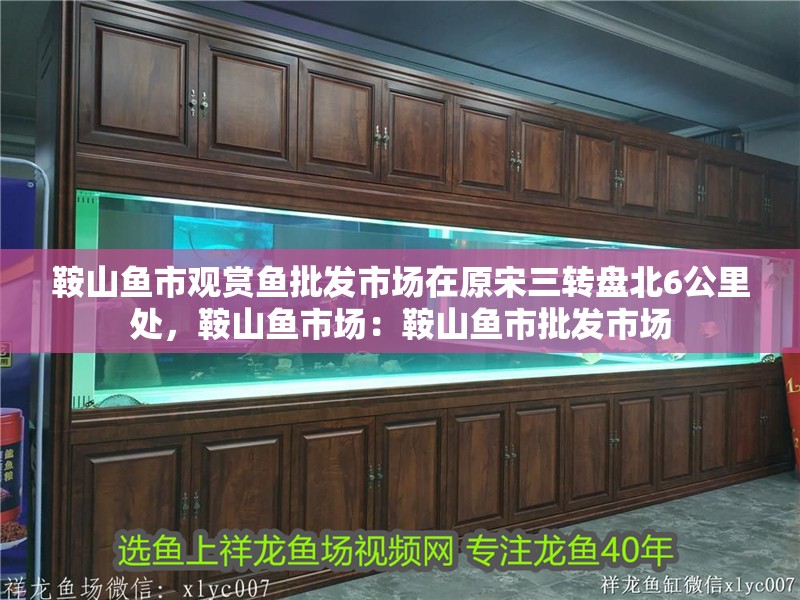 鞍山魚市觀賞魚批發(fā)市場在原宋三轉(zhuǎn)盤北6公里處，鞍山魚市場：鞍山魚市批發(fā)市場