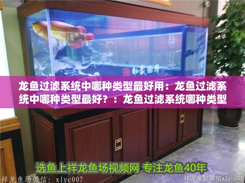 龍魚(yú)過(guò)濾系統(tǒng)中哪種類(lèi)型最好用：龍魚(yú)過(guò)濾系統(tǒng)中哪種類(lèi)型最好？：龍魚(yú)過(guò)濾系統(tǒng)哪種類(lèi)型的龍魚(yú)過(guò)濾系統(tǒng)是最好的龍魚(yú)養(yǎng)殖