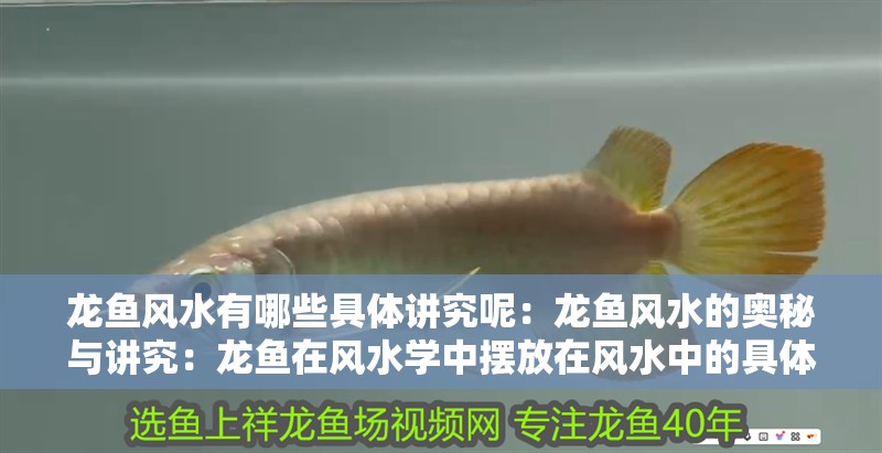 龍魚風水有哪些具體講究呢：龍魚風水的奧秘與講究：龍魚在風水學中擺放在風水中的具體講究龍魚的養(yǎng)護方法