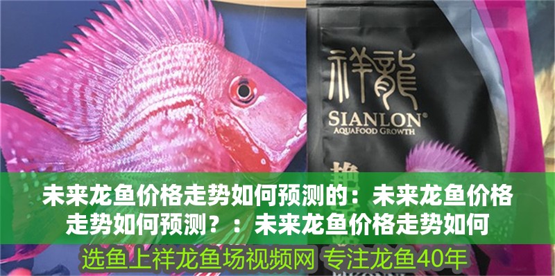 未來龍魚價格走勢如何預測的：未來龍魚價格走勢如何預測？：未來龍魚價格走勢如何