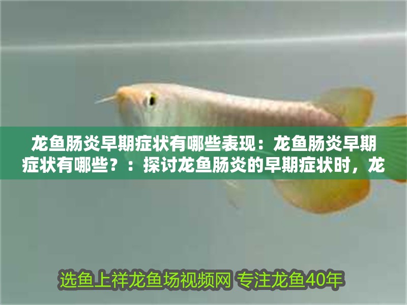 龍魚腸炎早期癥狀有哪些表現(xiàn)：龍魚腸炎早期癥狀有哪些？：探討龍魚腸炎的早期癥狀時(shí)，龍魚腸炎的早期癥狀可能會(huì)發(fā)生變化