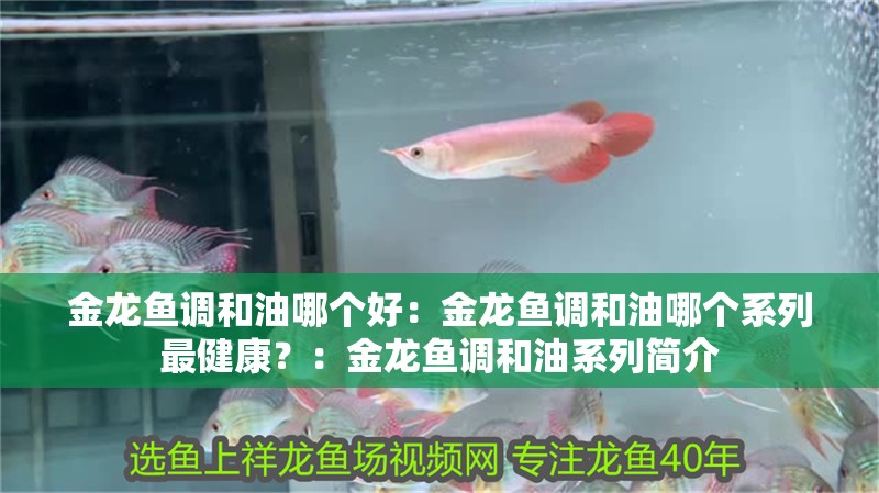 金龍魚調(diào)和油哪個好：金龍魚調(diào)和油哪個系列最健康？：金龍魚調(diào)和油系列簡介