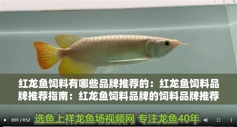 紅龍魚飼料有哪些品牌推薦的：紅龍魚飼料品牌推薦指南：紅龍魚飼料品牌的飼料品牌推薦，紅龍魚飼料品牌推薦