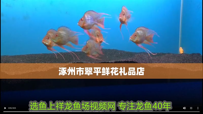 <strong><mark>涿州</mark></strong>市翠平鮮花禮品店