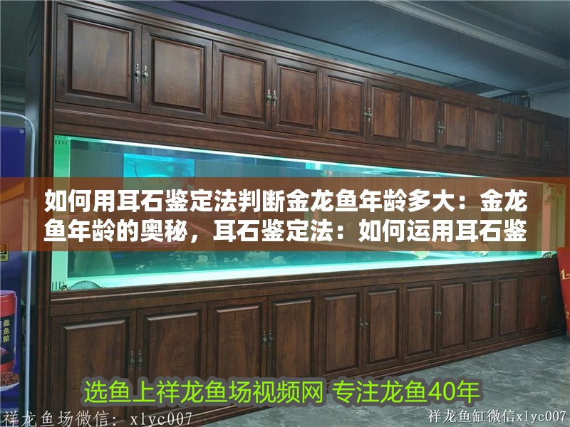 如何用耳石鑒定法判斷金龍魚年齡多大：金龍魚年齡的奧秘，耳石鑒定法：如何運用耳石鑒定法來判斷金龍魚的年齡