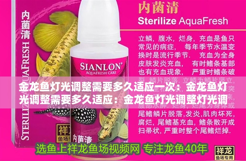 金龍魚燈光調整需要多久適應一次：金龍魚燈光調整需要多久適應：金龍魚燈光調整燈光調整需要多久才能適應金龍魚生活