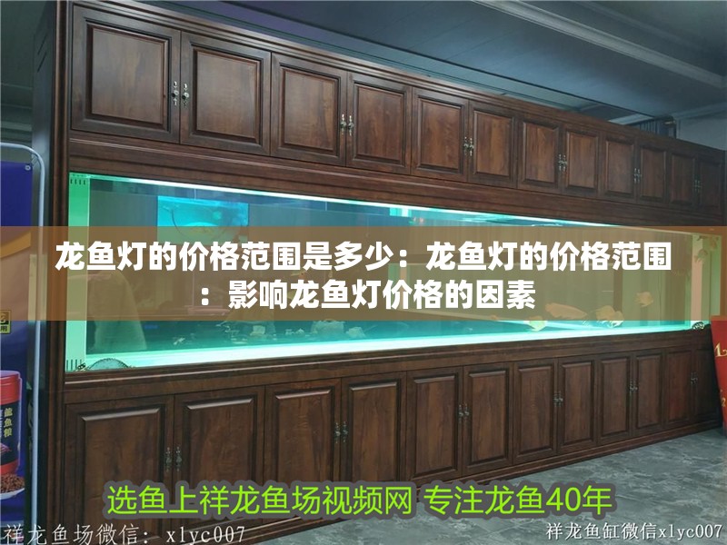 龍魚燈的價格范圍是多少：龍魚燈的價格范圍：影響龍魚燈價格的因素
