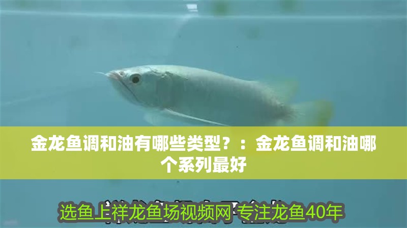 金龍魚調和油有哪些類型？：金龍魚調和油哪個系列最好