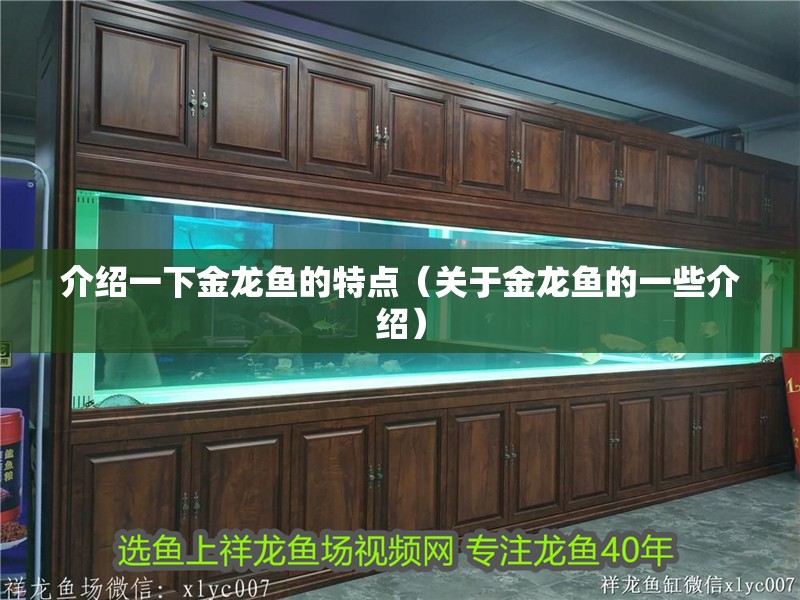 介紹一下金龍魚的特點（關于金龍魚的一些介紹）