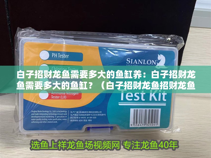 白子招財龍魚需要多大的魚缸養：白子招財龍魚需要多大的魚缸？（白子招財龍魚招財龍魚需要考慮過濾和物理過濾和物理）