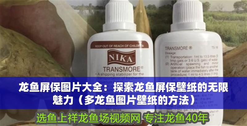 龍魚屏保圖片大全：探索龍魚屏保壁紙的無限魅力（多龍魚圖片壁紙的方法）