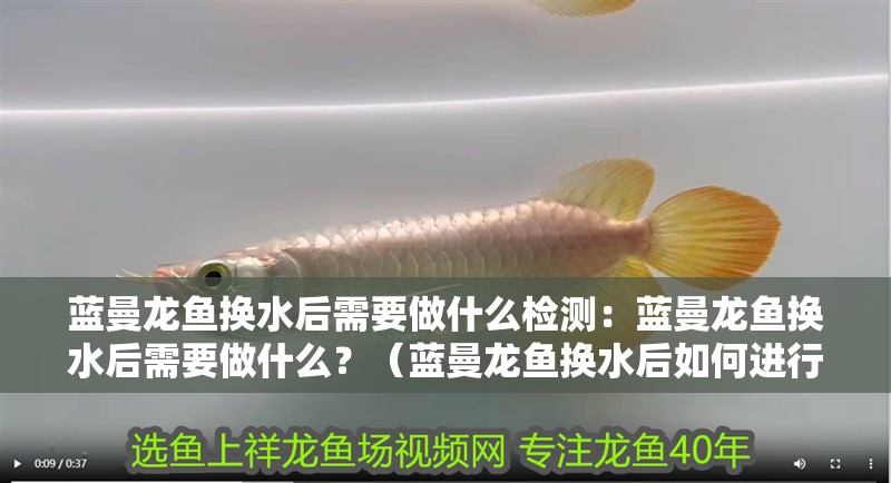 藍(lán)曼龍魚換水后需要做什么檢測：藍(lán)曼龍魚換水后需要做什么？（藍(lán)曼龍魚換水后如何進(jìn)行檢測）
