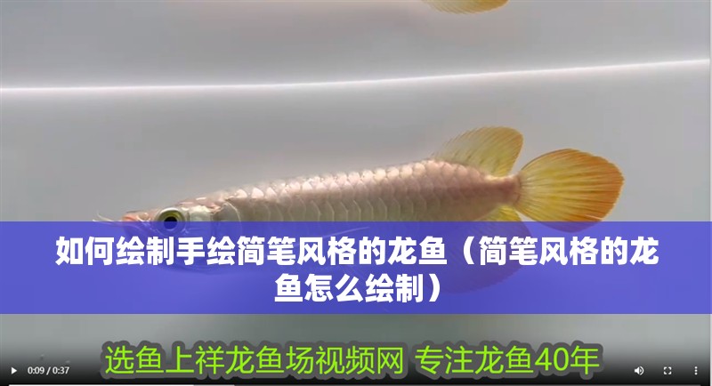 如何繪制手繪簡筆風格的龍魚（簡筆風格的龍魚怎么繪制）