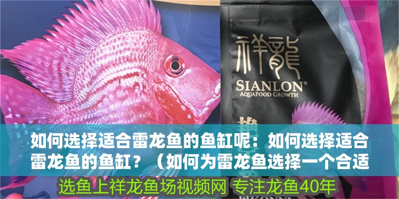 如何選擇適合雷龍魚的魚缸呢：如何選擇適合雷龍魚的魚缸？（如何為雷龍魚選擇一個(gè)合適的魚缸）