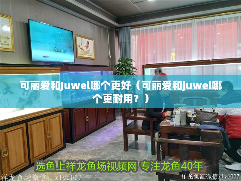 可麗愛和Juwel哪個更好（可麗愛和juwel哪個更耐用？）