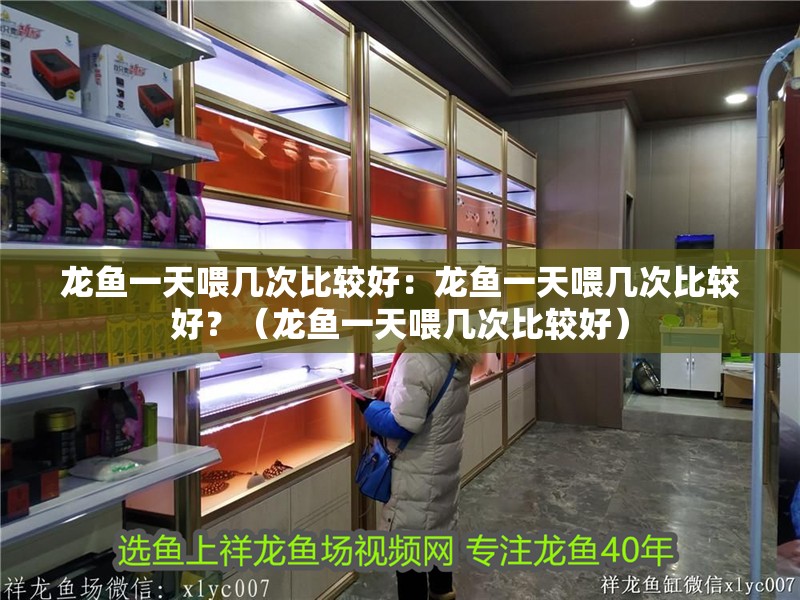 龍魚一天喂幾次比較好：龍魚一天喂幾次比較好？（龍魚一天喂幾次比較好）