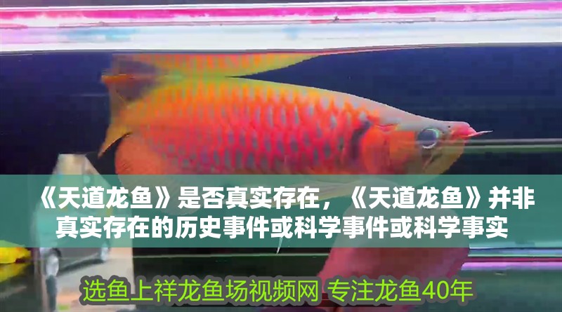 《天道龍魚》是否真實存在，《天道龍魚》并非真實存在的歷史事件或科學事件或科學事實