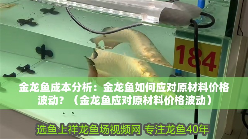 金龍魚成本分析：金龍魚如何應對原材料價格波動？（金龍魚應對原材料價格波動）